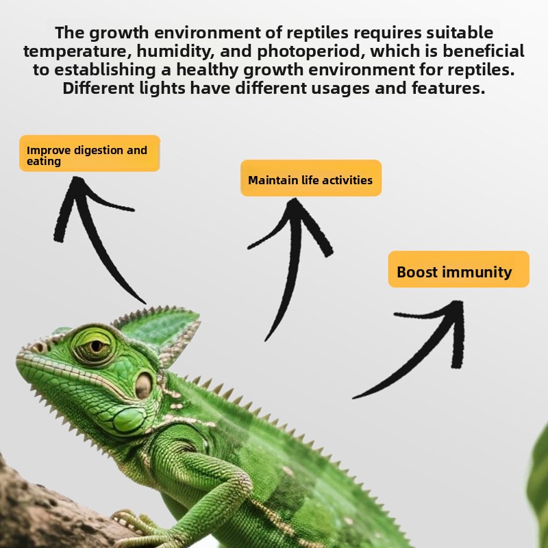 Barbarous Growth Reptile UVA B - Gecko Lighting & Decor recension och pris