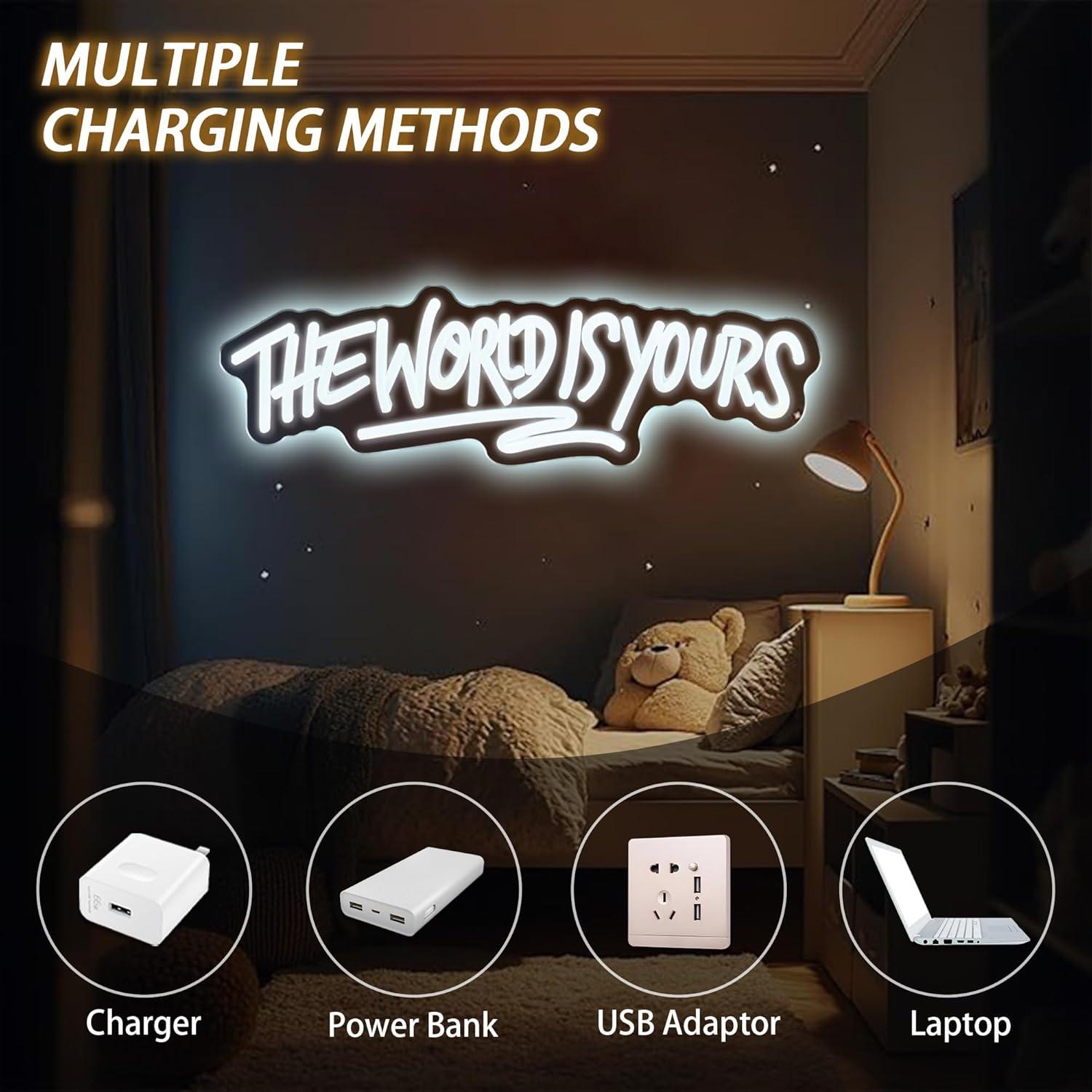 The World is Yours Neon Sign U - Lighting Decoration For Wedding recension och pris
